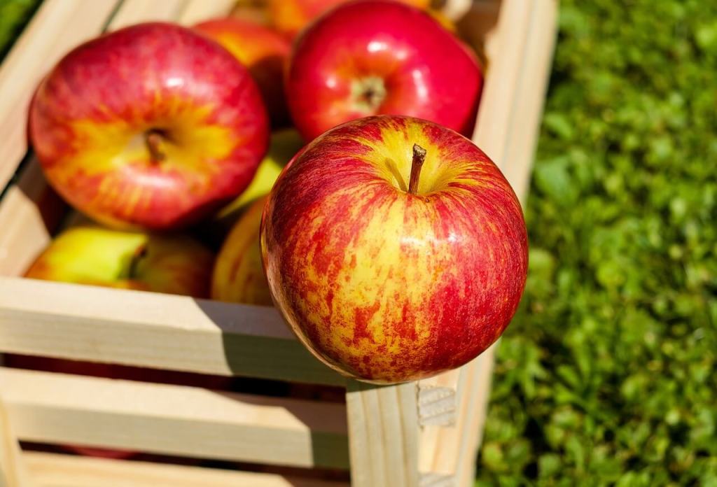 Newton y la manzana