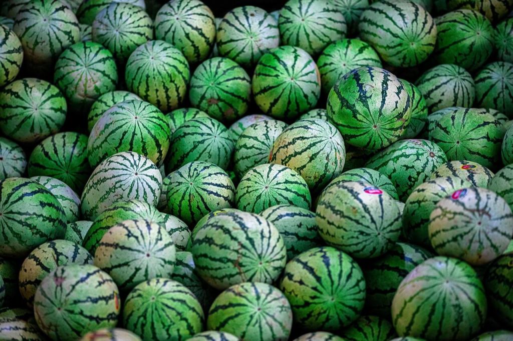 citrulina sandía