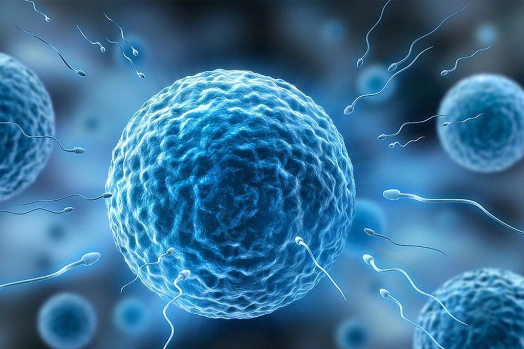 ¿El semen tiene propiedades nutritivas? 