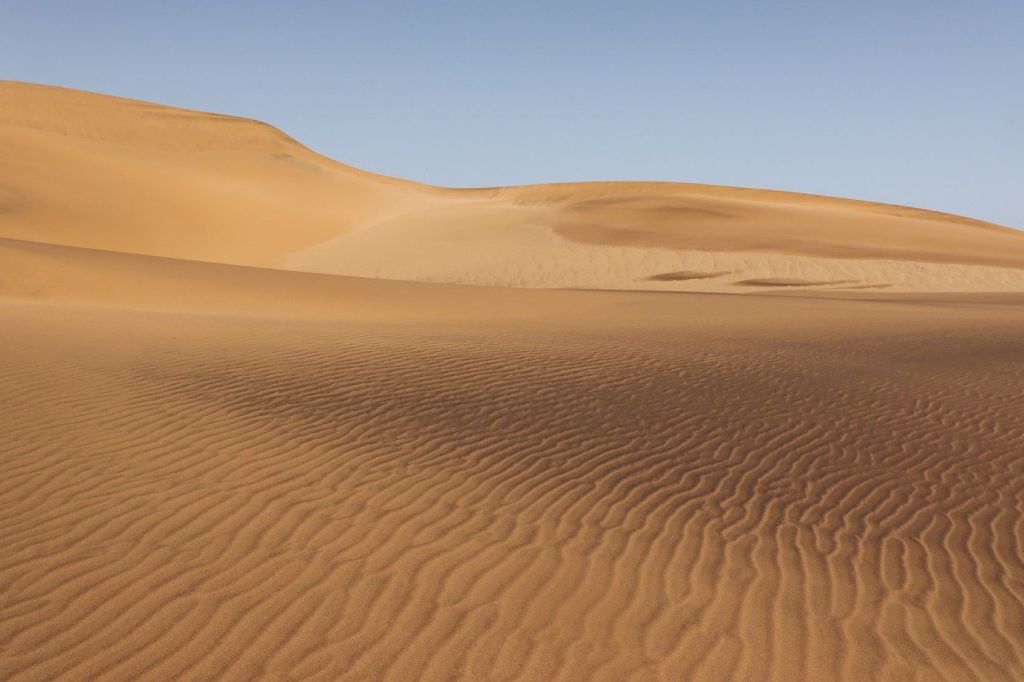 Los desiertos dificultan la supervivencia sin agua