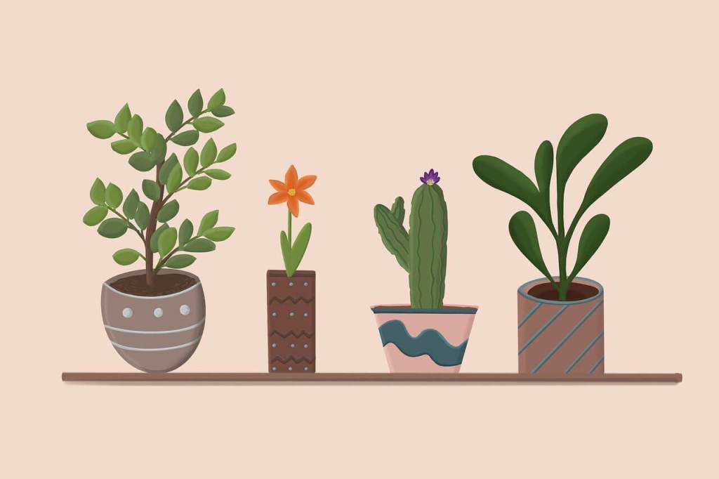Imagen de Reytschl en Pixabay
Plantas