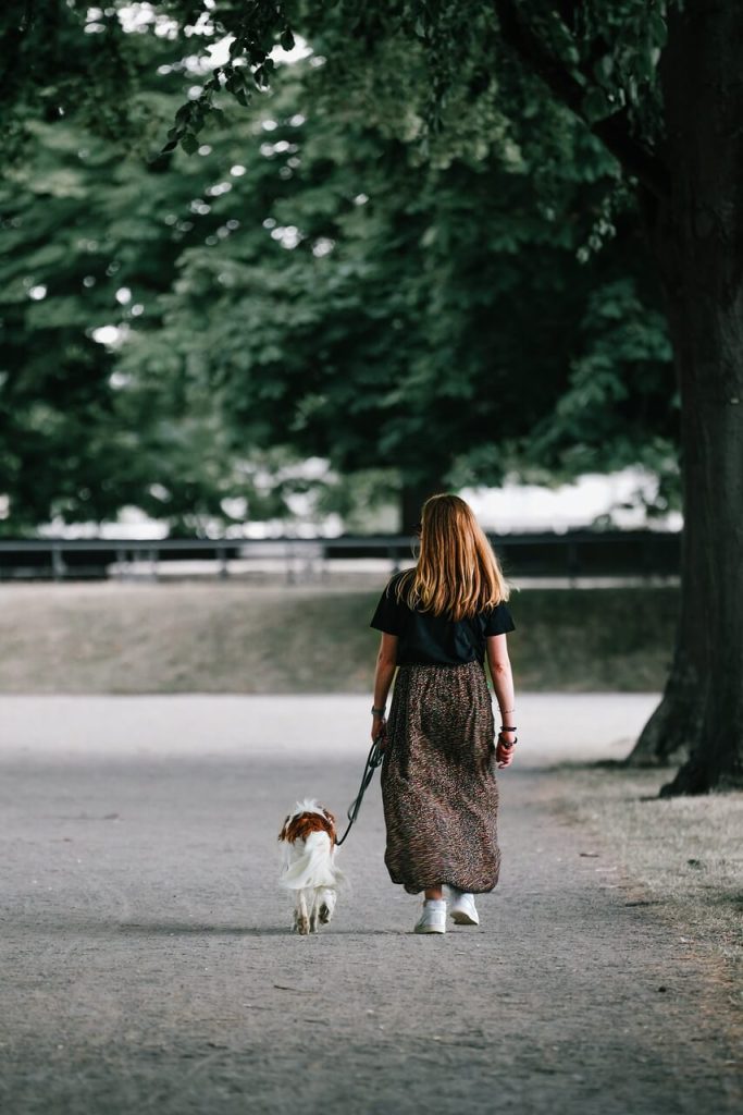 Perros en relaciones