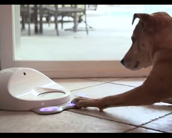 Tecnología para mascotas