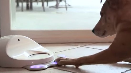 Tecnología para mascotas