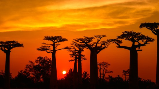 Madagascar