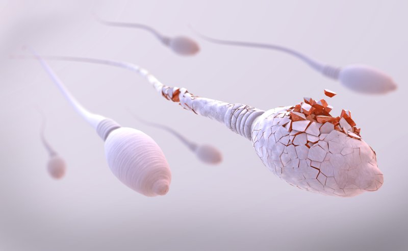 Factores que empeoran la calidad del semen