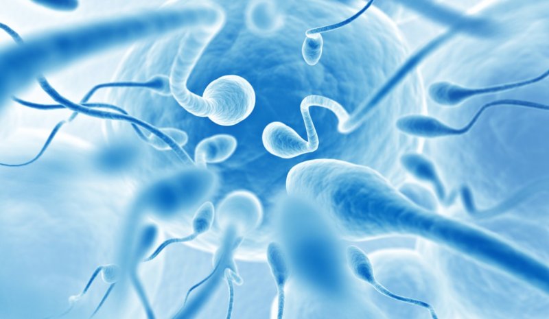 Semen contra la depresión