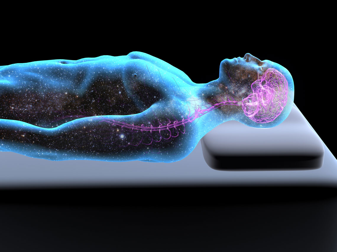 cerebro sueño