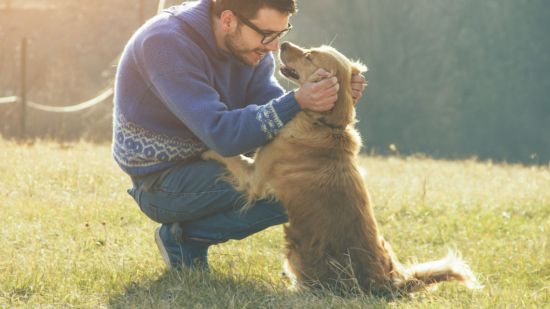 hombre y perro