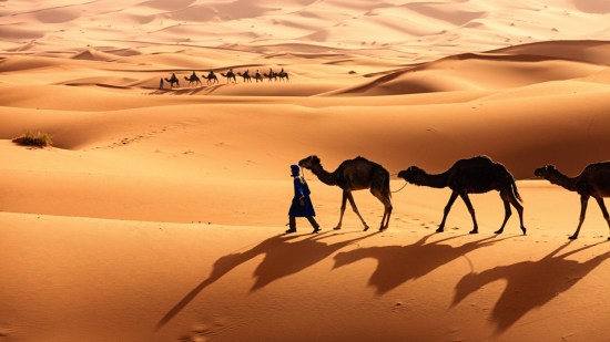 ¿Cómo se forman los desiertos?