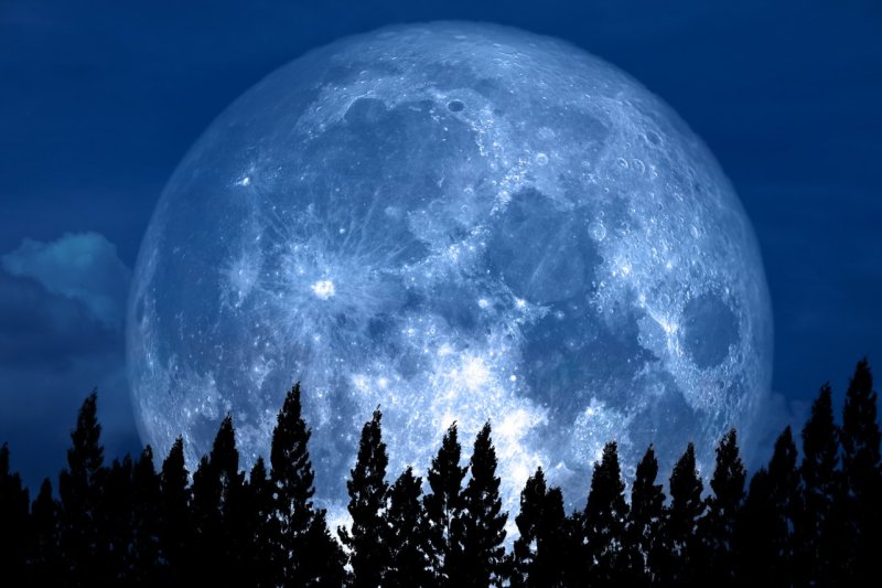 Luna del gusano: marzo