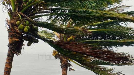 viento