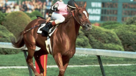 caballo carreras