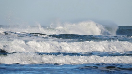 Olas