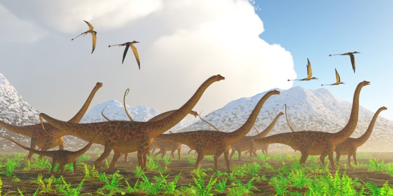 Diplodocus