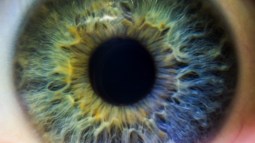color-ojos