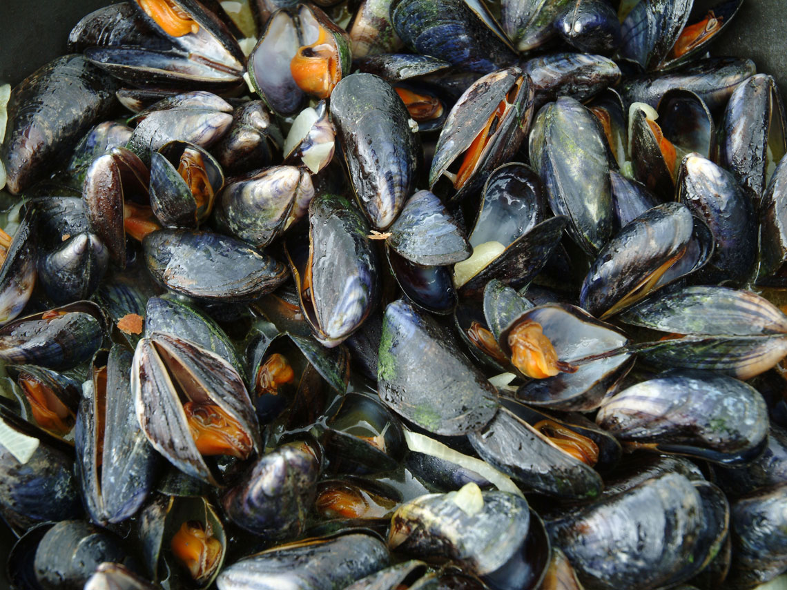 mejillones
