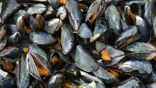 mejillones