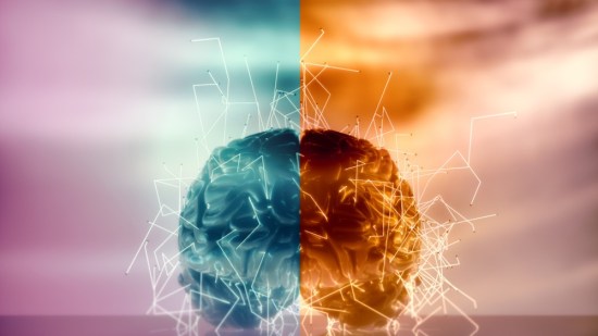 hemisferio-cerebro