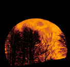 ¿Por qué la Luna y el Sol se ven de color naranja?