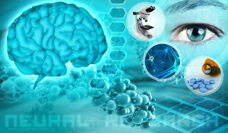 neurociencia