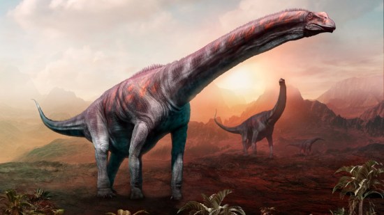 dinosagrande
