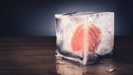 ¿Se puede congelar el cerebro?