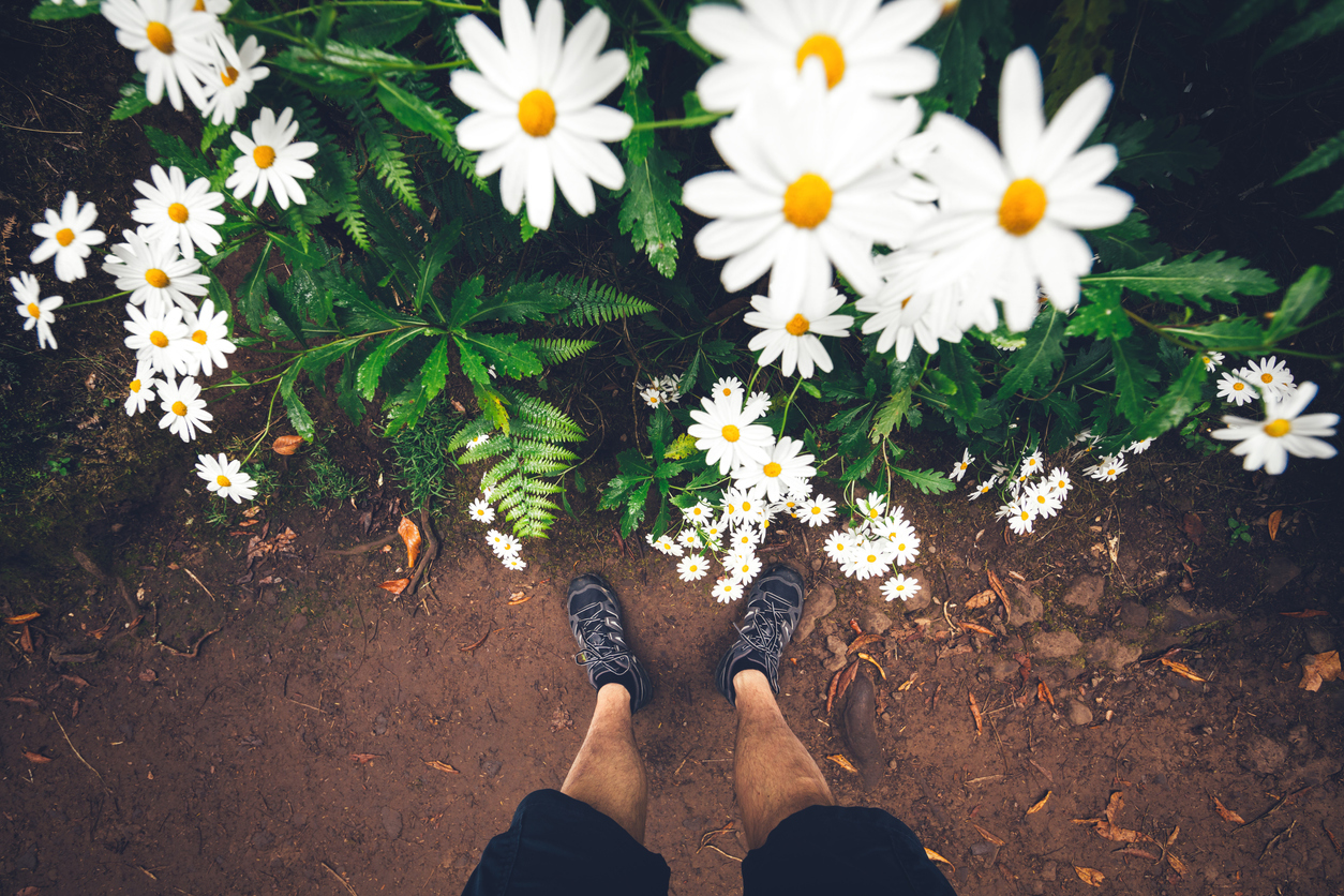 flores