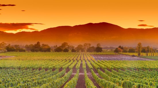 valle-napa