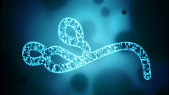 ebola-sexual