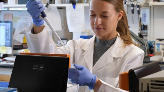Investigadora