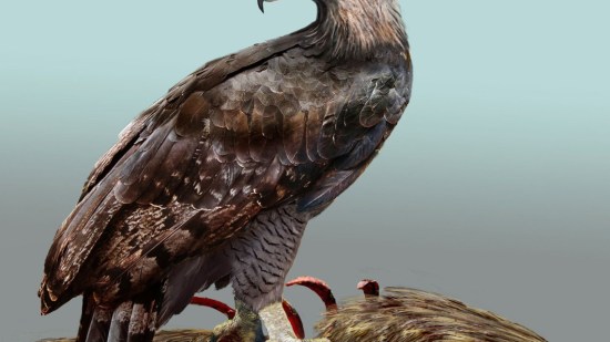 aguila-haast