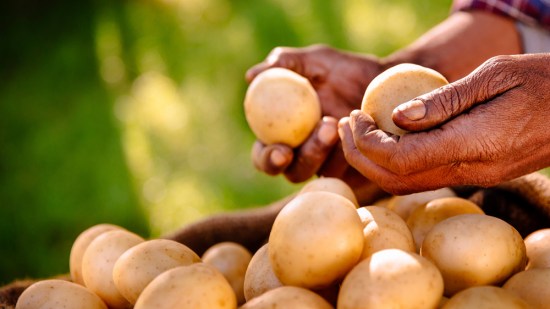patatas