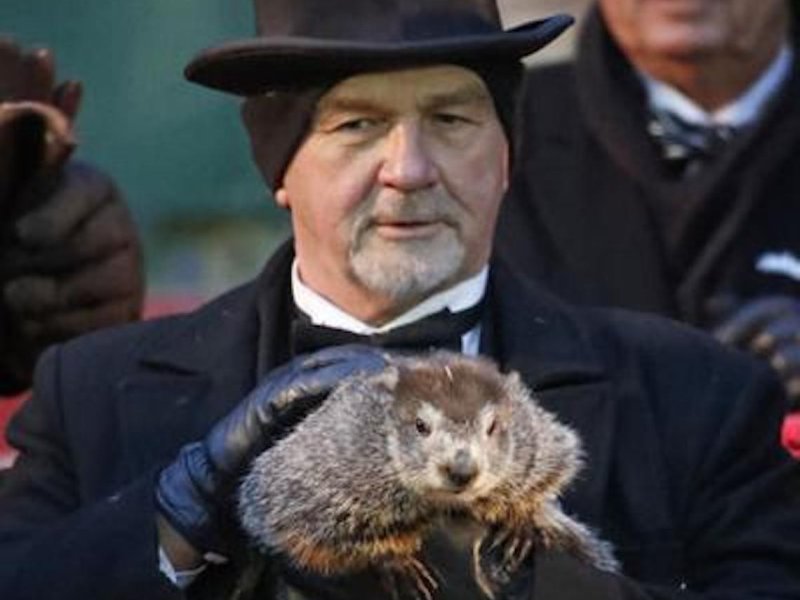 La marmota Phil
