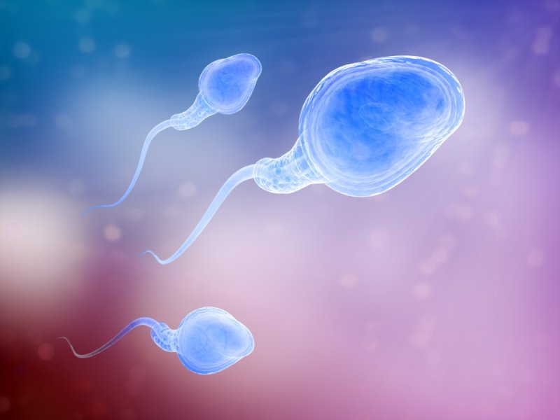 calidad-semen