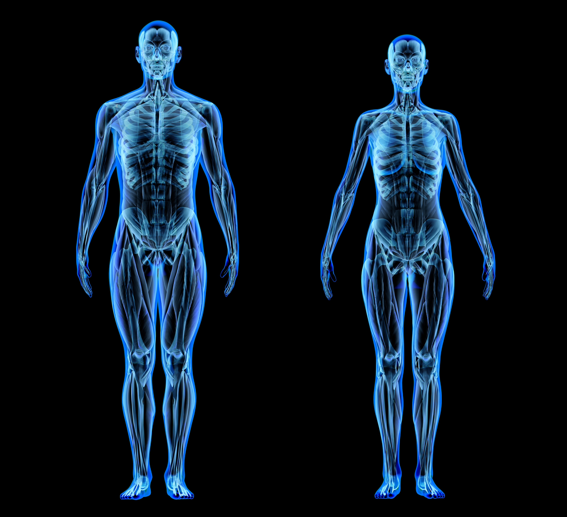 ¿Cuánto vale un cuerpo humano?