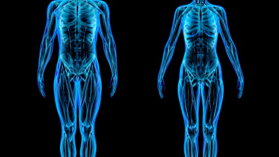 ¿Cuánto vale un cuerpo humano?