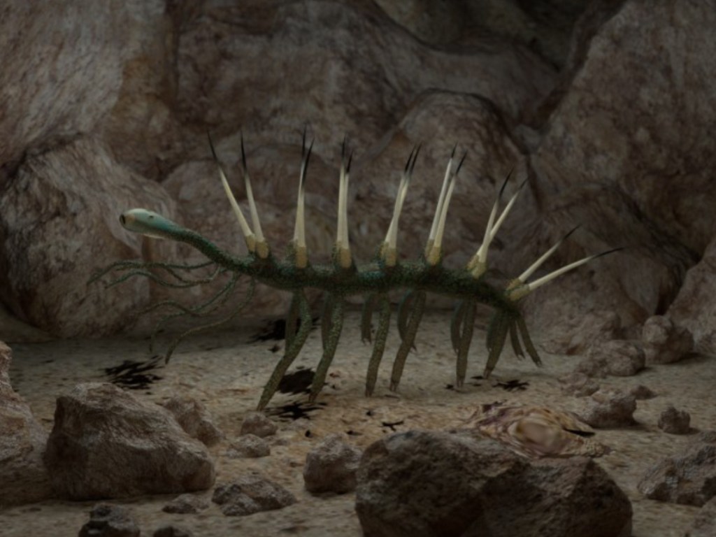 fauna de Ediacara