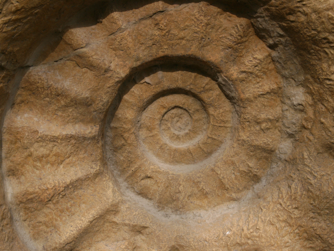 Mares mesozoico