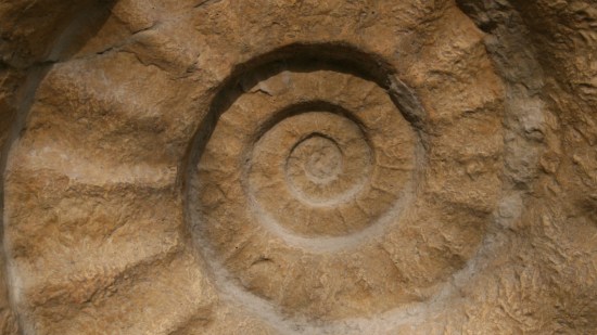 Mares mesozoico