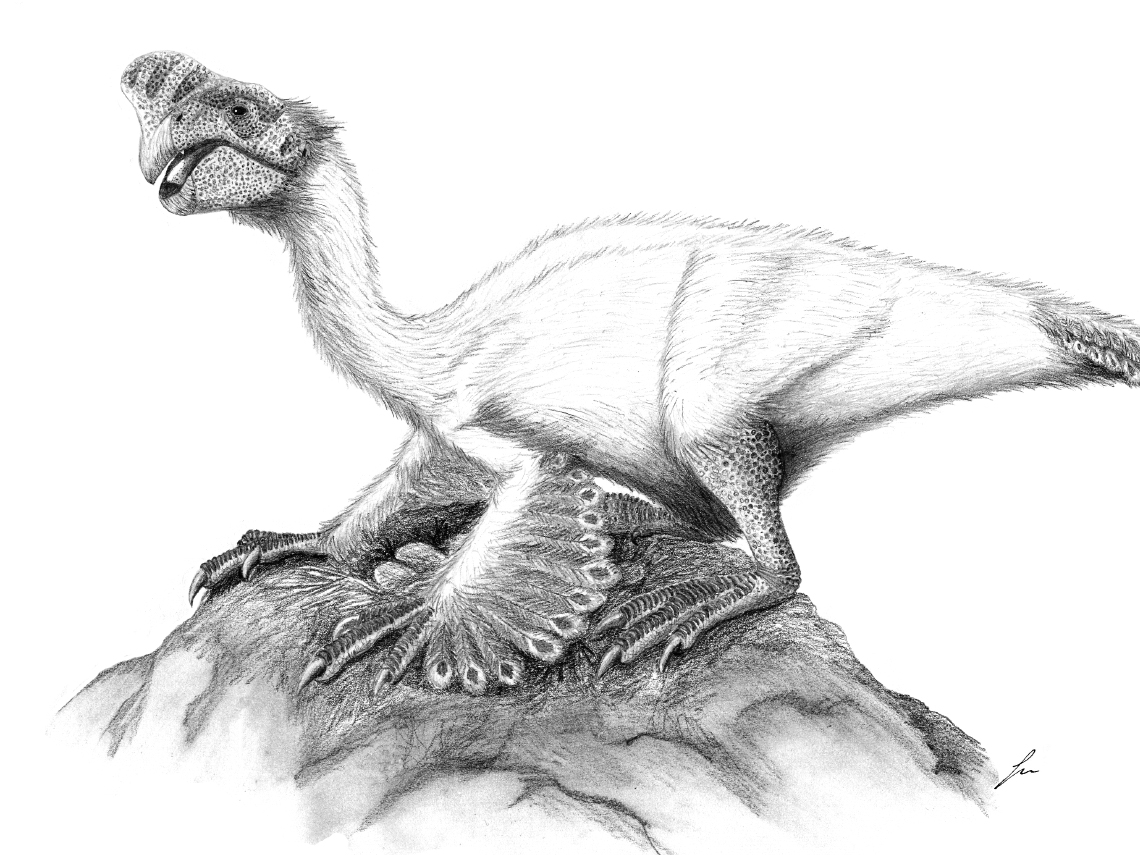 Oviraptor