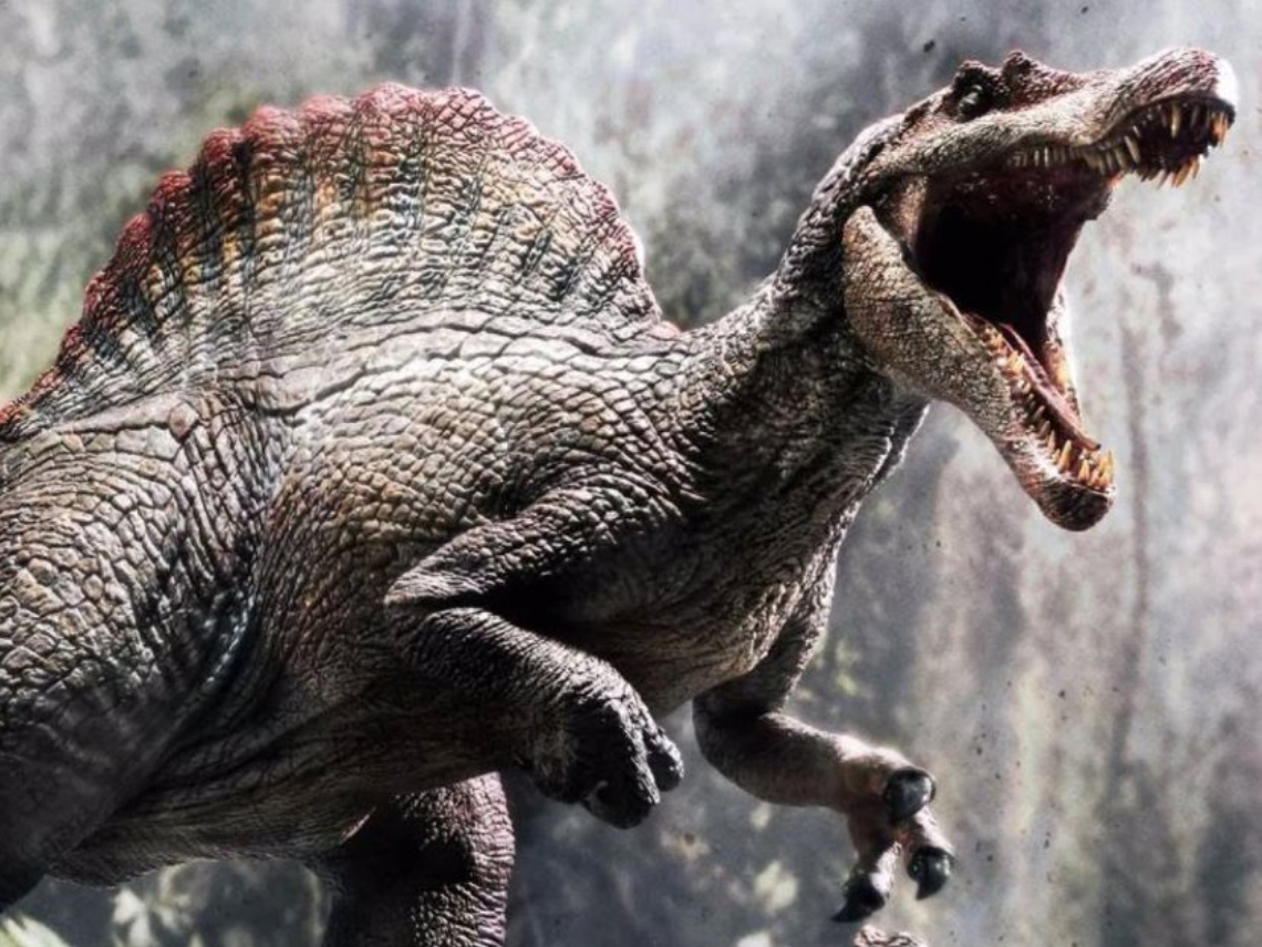 Spinosaurus: