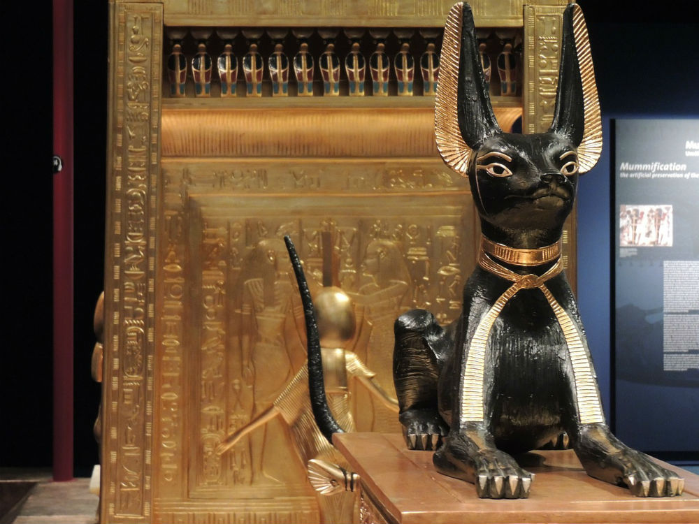 Estatua de un gato del antiguo Egipto