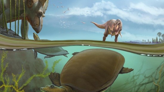 tortuga-dinosaurios