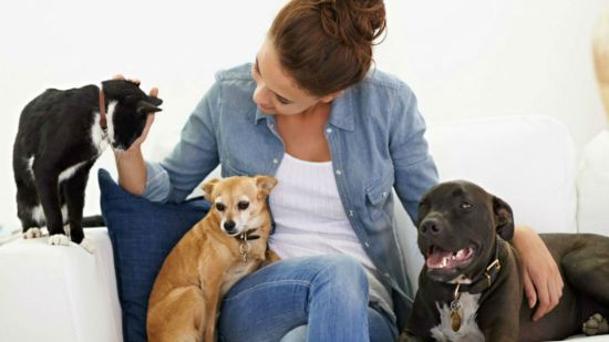mujer con animales