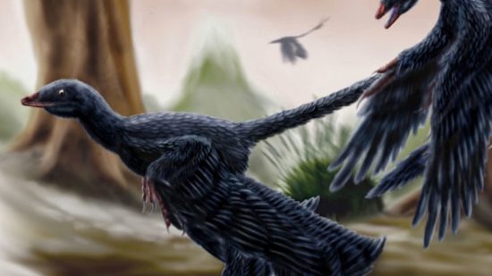 Microraptor