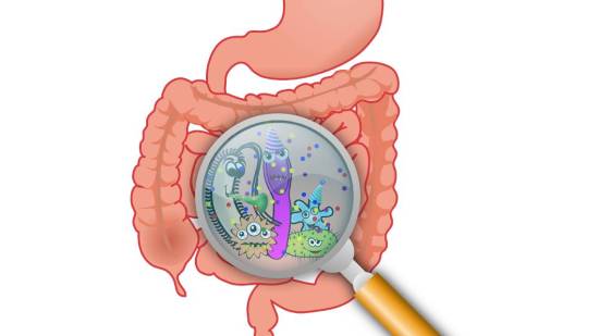 Enfermedades intestinales