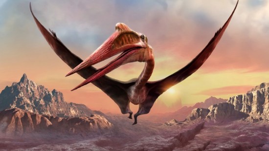 Así aparecieron las alas