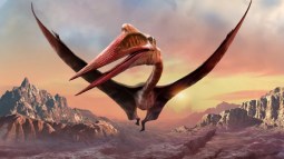 Así aparecieron las alas