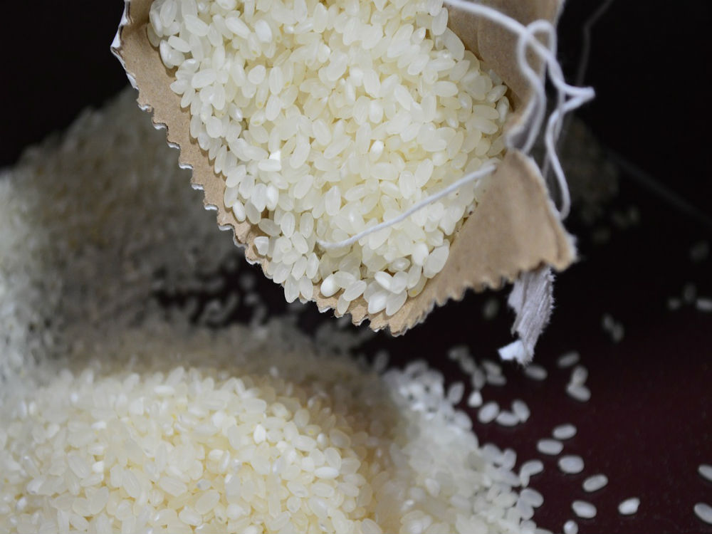 El arroz como dieta para mascotas enfermas